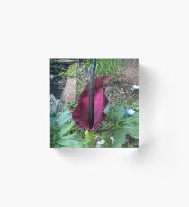 Purple Flower Acrylic Block