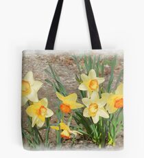 Spring, Take a Bow Tote Bag