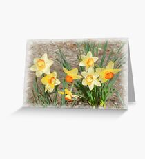 Spring, Take a Bow Greeting Card