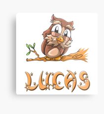 Lucas Owl Metal Print