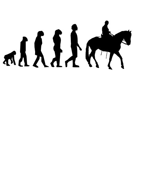 Evolution Of Horse Racing