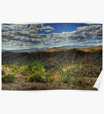 Desert Clouds Poster