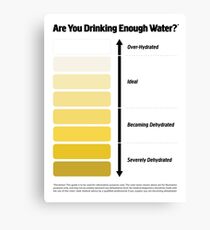 Urine Color Chart, Pee Color Chart Canvas Print