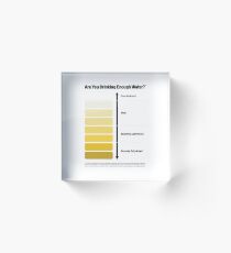 Urine Color Chart, Pee Color Chart Acrylic Block
