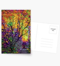 The park after dark Postcards