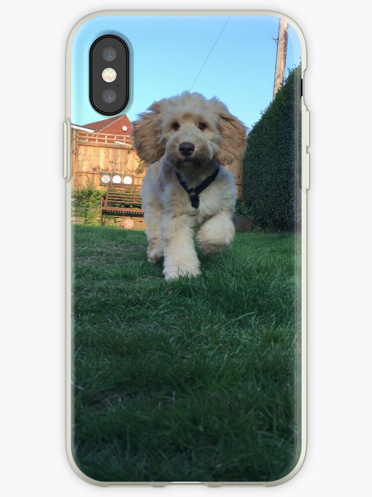 cockapoo iphone 7 case cockapoo iphone 7 case