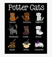 Harry Pawter Cute Kitten Potter Cats Photographic Print