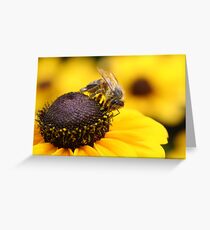 If you knew Susie Greeting Card