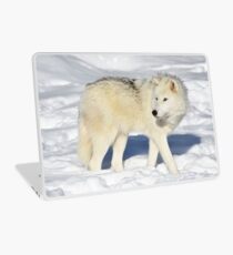 Arctic Wolf Laptop Skin