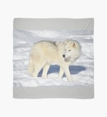 Arctic Wolf Scarf