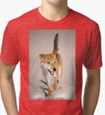 Fraser Island Dingo, Queensland, Austalia Tri-blend T-Shirt