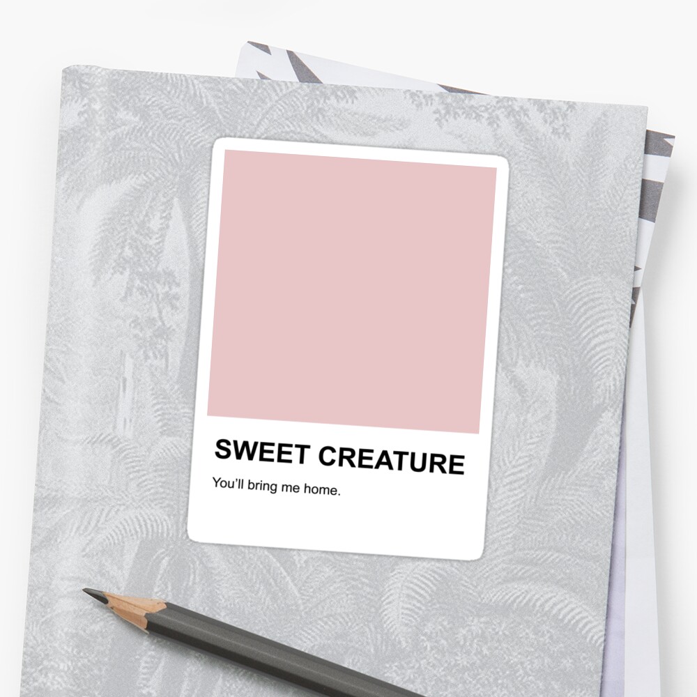 sweet creature merch