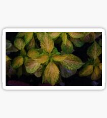 Textured leaves Sticker