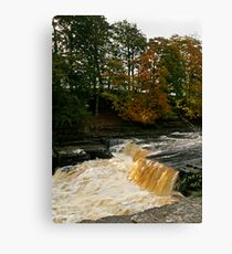 Aysgarth Force Canvas Print