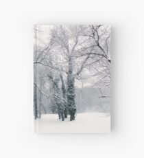 Icing Hardcover Journal
