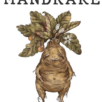 Artwork thumbnail, Little Mandrake Baby/Toddler by skretkowiczm