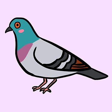 Pigeon 1 Drawing by Jenea Kaitaz | Saatchi Art