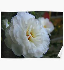 Soft Floral Poster