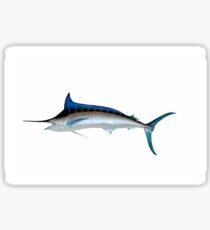 Blue Marlin Sticker