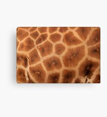 nature's mosaic Canvas Print