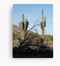 STANDING TALL Canvas Print