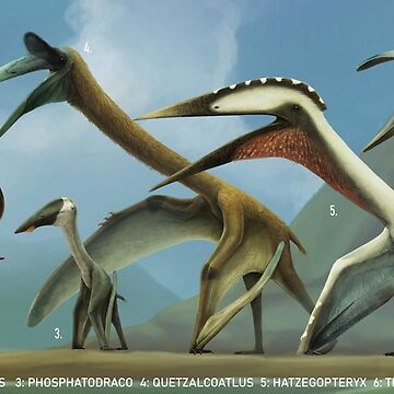 Flock of Hatzegopteryx #latecretaceous #mesozoic #pterosauria # pterodactyloidea #azhdarchidae #hatzegopteryx #romania by:Chase Stone