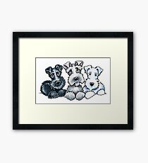 Schnauzer Company Framed Print