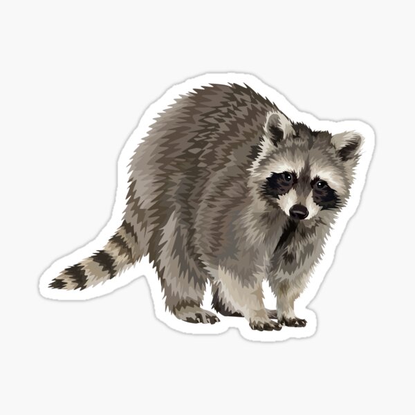 Raccoon Stickers | Redbubble