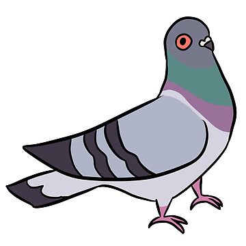 Vector of a pigeons are flying on white... - Stock Illustration [101422065]  - PIXTA