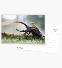 MACRO Postcards