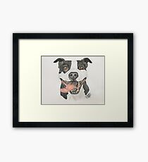 American Pit Bull in Colored Pencil Framed Print