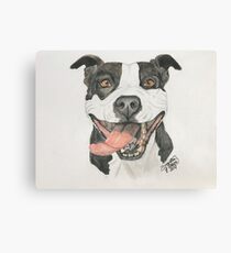 American Pit Bull in Colored Pencil Canvas Print
