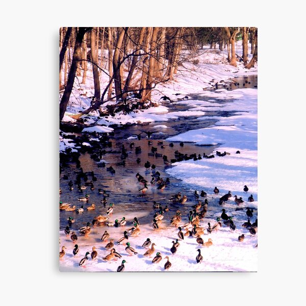 Journey's Rest Stop Canvas Print