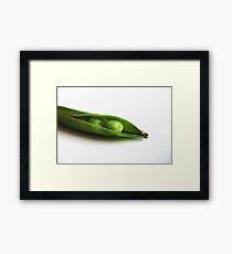 Just like peas in a .... Framed Print