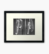 The Last Of The Romantic Poets Framed Print