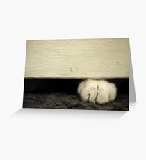 Shut Out Greeting Card