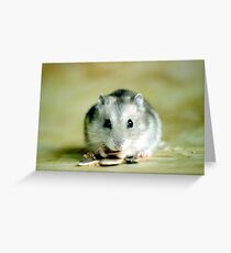 Cute Hamster Greeting Card