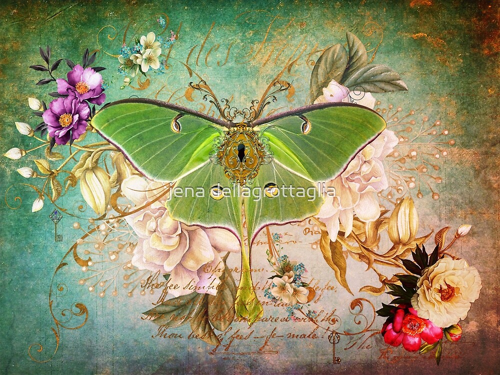 "Moth to the Flame" by jena dellagrottaglia Redbubble