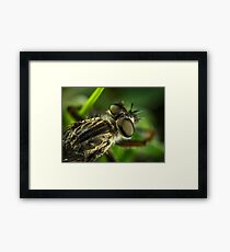insect Framed Print