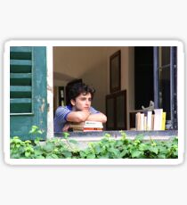 Call Me By Your Name - Timothée Chalamet Sticker