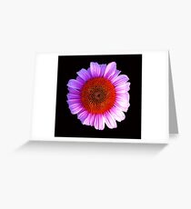 pink daisy outline Greeting Card