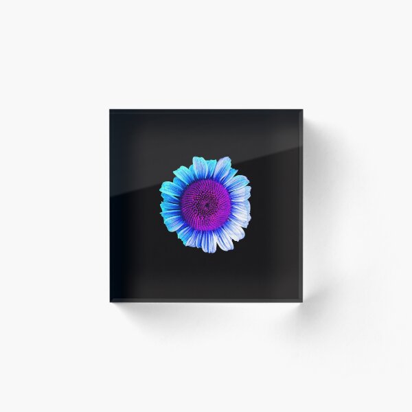 Neon Daisy Acrylic Block