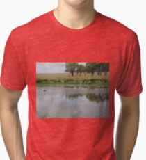 Wild duck and nest Tri-blend T-Shirt