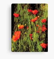 Showy flowers Canvas Print