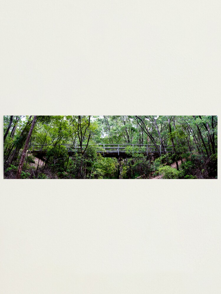 Alternate view of Old railway bridge Photographic Print