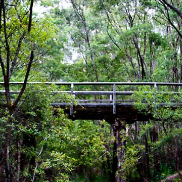 Artwork thumbnail, Old railway bridge by mistered
