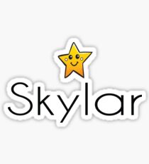 Name Skylar / Inspired by The Color of Money Sticker