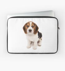 Beagle Laptop Sleeve