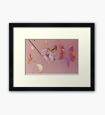 Harry Styles' Pink Floral Pattern Framed Print