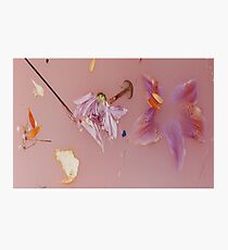 Harry Styles' Pink Floral Pattern Photographic Print